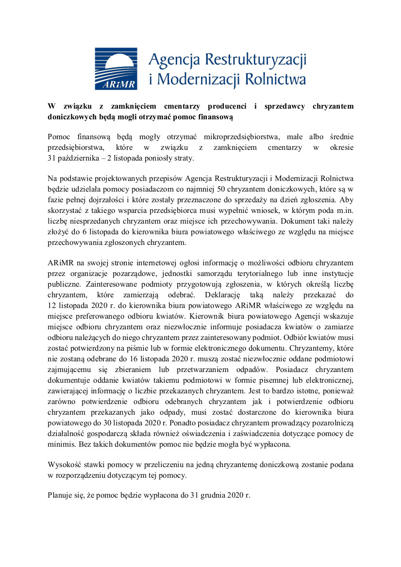 W związku z zamknięciem cmentarzy producenci i sprzedawcy chryzantem doniczkowych będą mogli otrzymać pomoc finansową Pomoc finansową będą mogły otrzymać mikroprzedsiębiorstwa, małe albo średnie przedsiębiorstwa, które w związku z zamknięciem cmentarzy w okresie 31 października – 2 listopada poniosły straty. Na podstawie projektowanych przepisów Agencja Restrukturyzacji i Modernizacji Rolnictwa będzie udzielała pomocy posiadaczom co najmniej 50 chryzantem doniczkowych, które są w fazie pełnej dojrzałości i które zostały przeznaczone do sprzedaży na dzień zgłoszenia. Aby skorzystać z takiego wsparcia przedsiębiorca musi wypełnić wniosek, w którym poda m.in. liczbę niesprzedanych chryzantem oraz miejsce ich przechowywania. Dokument taki należy złożyć do 6 listopada do kierownika biura powiatowego właściwego ze względu na miejsce przechowywania zgłoszonych chryzantem. ARiMR na swojej stronie internetowej ogłosi informację o możliwości odbioru chryzantem przez organizacje pozarządowe, jednostki samorządu terytorialnego lub inne instytucje publiczne. Zainteresowane podmioty przygotowują zgłoszenia, w których określą liczbę chryzantem, które zamierzają odebrać. Deklarację taką należy przekazać do 12 listopada 2020 r. do kierownika biura powiatowego ARiMR właściwego ze względu na miejsce preferowanego odbioru kwiatów. Kierownik biura powiatowego Agencji wskazuje miejsce odbioru chryzantem oraz niezwłocznie informuje posiadacza kwiatów o zamiarze odbioru należących do niego chryzantem przez zainteresowany podmiot. Odbiór kwiatów musi zostać potwierdzony na piśmie lub w formie elektronicznego dokumentu. Chryzantemy, które nie zostaną odebrane do 16 listopada 2020 r. muszą zostać niezwłocznie oddane podmiotowi zajmującemu się zbieraniem lub przetwarzaniem odpadów. Posiadacz chryzantem dokumentuje oddanie kwiatów takiemu podmiotowi w formie pisemnej lub elektronicznej, zawierającej informację o liczbie przekazanych chryzantem. Jest to bardzo istotne, ponieważ zarówno potwierdzenie odbioru odebranych chryzantem jak i potwierdzenie odbioru chryzantem przekazanych jako odpady, musi zostać dostarczone do kierownika biura powiatowego do 30 listopada 2020 r. Ponadto posiadacz chryzantem prowadzący pozarolniczą działalność gospodarczą składa również oświadczenia i zaświadczenia dotyczące pomocy de minimis. Bez takich dokumentów pomoc nie będzie mogła być wypłacona. Wysokość stawki pomocy w przeliczeniu na jedną chryzantemę doniczkową zostanie podana w rozporządzeniu dotyczącym tej pomocy. 